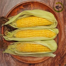 맛가득 프리미엄 초고당도 제주초당옥수수 해남 강원 찰옥수수, 초당옥수수 280~340g 15개, 최상품 초당옥수수 개수선택, 15개
