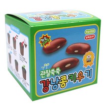 2000강낭콩키우기(12개1통)