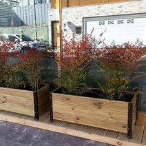 철과나무 방부목화분 나무화분 대형화분 도로화분 베란다텃밭 옥상텃밭, 투명오일스테인