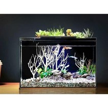 가정용 스마트어항 유리 수족관 생태 수조 LED 조명 터치 와이파이, Aquarium + 공룡 조경 팩