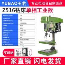 탁상드릴 보루방 소형 드릴링머신 선반 타공 천공 공작드릴 탁상보루방 벤치 드릴 산업용 등급 데스크탑 드릴링 머신 소형 가정용 220V 벤치 드릴 다기능 전기 드릴 고전력 태핑 및 밀링 머신, 모든구리Z516/16MM단상220V750W