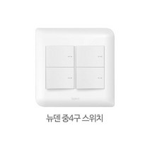르그랑코리아 뉴덴 NEWDEN | 중4구 스위치