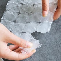 일회용 얼음 트레이 10매 휴대용 피크닉 캠핑 비닐 아이스 볼 메이커 틀 봉지 얼음 팩, 본상품선택