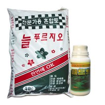 전문가용 대용량 분갈이 식물 활력액 세트_봄상품 - 2023968EA, 본상품선택