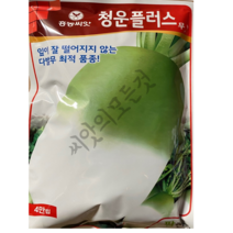 청운플러스 김장무씨앗 4만립 김장무우 다발무 최적품종 맛이좋은 가을무 햇종자 대포장, 1개