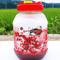 문경몰 2023년 문경 햇 오미자 당절임 10kg /20kg 오미자 생과로 담근 오미자 당절임, 10kg (정백당5kg+오미자생과5kg)