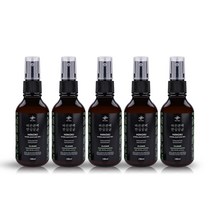 바른편백 안심살균 휴대용 스프레이 100ml x 5개