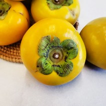 경상도 수확 가정용 단감 5kg 12월말까지 판매, 가정용 단감 5kg/대과/15-17과 내외