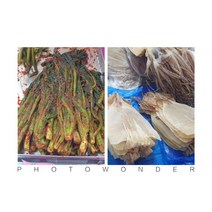 여수 갓김치 2kg + 제주 반건조 준치오징어 대 5마리 1팩, 2개, 1kg