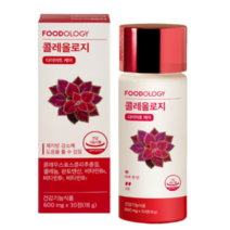 네추럴에프앤피 푸드올로지 콜레올로지 컷 600mg 30정, 3개