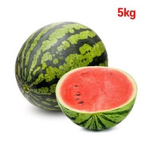 겨울 고당도수박 5kg, 1, 본상품선택