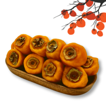 지리산 산청 대봉 반건시 곶감 500g(10입)