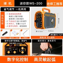 WS-200 250 알곤 아르곤 용접기 가정용 소형 스테인리스 미니 220V, WS-200 미니