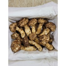 고급 자연산 송이버섯 1kg, 1박스 20개 내외 1kg