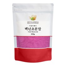 서울아레나 국산 백년초 분말 300g, 1개