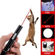 레이저 펜 발표 회의 레이저 포인터 USB충전 미니 LED조명, 블랙, 1개