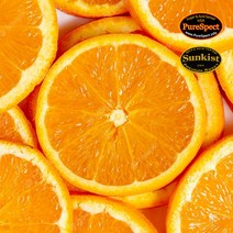 오렌지블랙라벨퓨어스펙 TOP100으로 보는 인기 제품