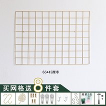 철조망 소품 진열대 액세서리 전시 뜨거운 판매 북유럽 그리드 사진 벽 황금 와이어 메쉬 단철 장식 로즈 메탈릭 컬러 침실 임대, 없음, 5. 샴페인 골드 메쉬 65*45 무료 액세서리 - 가