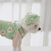 유앤펫 강아지 데이지 벙거지 모자 악세사리, 그린