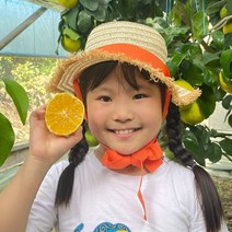 [후기보장] 제주 서귀포 햇 황금향! 꿀당도 가정용/선물용 추석선물세트, 1박스, 황금향3kg 로얄과(가정용)