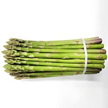 생 아스파라거스 국내산 1kg
