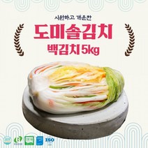 백김치담기 추천 순위 TOP 10