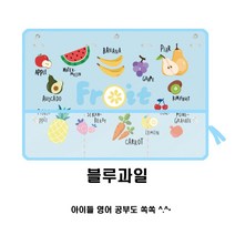 고고스 차량용 햇빛가리개 다용도 수납 아기 커튼 폭스바겐 티구안 2.0 올스페이스, 블루과일, 1개