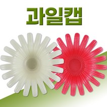 팬캡 과일캡 과일포장 과일보관 과일보호 충격방지, 160(레드) 100개