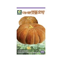 대과종 새론맷돌호박 씨앗 30립 다수확 품종 착과력, 단품