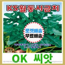 [OK씨앗] [참조은플러스시금치] (F1월동초) 시금치씨앗(오케이씨앗), 20g