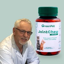 뉴질랜드 그린펫엔젯 조인트츄 고양이 관절영양제 60정 초록입홍합 글루코사민, 60정 x 4개