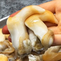 당일작업 산지직송 손질 노랑 새조개 자연산 여수 굵은이랑, 2.5kg(손질 후 500g)