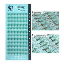 블레스 리프팅래쉬 4d 다크브라운 볼륨속눈썹 러시안볼륨 속눈썹, 1개, CC0.07-13mm