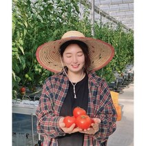 청년 농부가 키운 완숙 토마토 5kg 쥬스용 요리용 못난이, 로얄과(중size)
