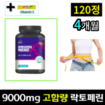 [100% 정품] 락토페린 9000mg 고함량 추천 식약처 인증 해썹 모로오렌지 프랑스산 웰빙곳간 체지방분해 / 장용성 스키니랩 코팅 락토패린 락토페닌 효능, 120정 x 1통 , 4개월