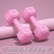 2종 세트 피트니스 아령 세트 여성 보디빌딩 웨이트트레이닝 헬스장 아령 휴대용 기기에 적합, 핑크, 8kg