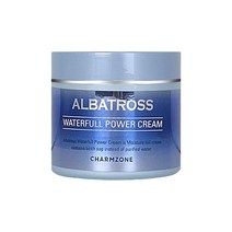 참존 알바트로스 워터풀 파워 크림 100ml, 단품, 1개