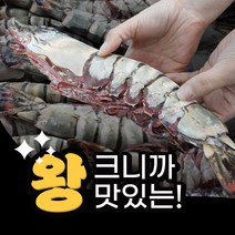 자연산 킹타이거 새우 1마리 최대 400g, P.킹타이거 1미170~229g 28cm내외