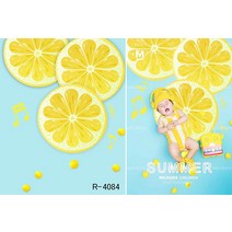 신생아 본아트 50일 100일셀프촬영 스튜디오 아기 사진 배경지, 상세페이지 참조, 상세페이지 참조, Y타입