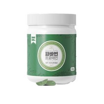 자이언트 파바빈 100% 껍질깐 잠두 콩 분말 가루 프로테인 효능 단백질 파우더 500g