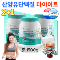 네덜란드 홈쇼핑 산양유 류신 유신 고단백 분리유청 BCAA 청소년 운동 전 후 멸치탈출 직장인 성인 어른 분유 다이어트 가르니시아 맛있는 단백질 체중조절 쉐이크 식사대용 분말 3통, 500g x 3통