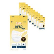 웰크리너 황사 마스크 대형 KF80, 10개, 5매