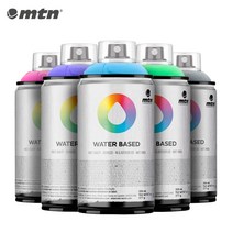 MTN WB 락카 수성 스프레이 300ml 무광 DIY, 55_RV 221 Perse Green