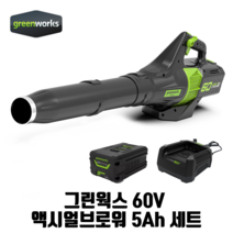 그린웍스 60V 전동 브로워 전기 무선 송풍기 제설 세차, 세트1 액시얼브로워+5ah배터리1개+급속충전기