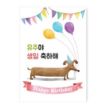 감성상점 생일파티현수막 어린이집플랜카드 유치원 강아지이벤트 제작 당일 포토 잔치 남편 와이프 아내, E14