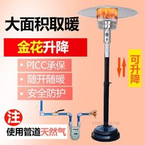 화목난로 캠핑용 가정용난로 목재 불멍 소형 화목 난로 모던 우산 가스 히터 액화 가정용 파티오 야외 천, 09 B-natural gas-lift