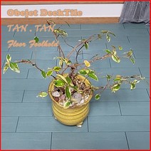 진성산업 오브제데크타일(18P).조립식마루발판.욕실매트.현관발판.테라스바닥재 베란다 데크타일 욕실발판, 05).민트그린18P