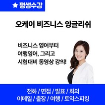 비지니스 잉글리쉬 327강 영어 전화/면접/발표/회의/이메일/출장/여행/토익스피킹 (한정세일)