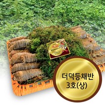 고씨네농장 더덕3호상 강원도더덕 도라지 야생더덕, 더덕등채반3호(1.5kg)