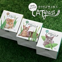 기타 바보사랑[스토어봄]캣그라스 키우기 세트 컵형, 밀, 상세설명 참조